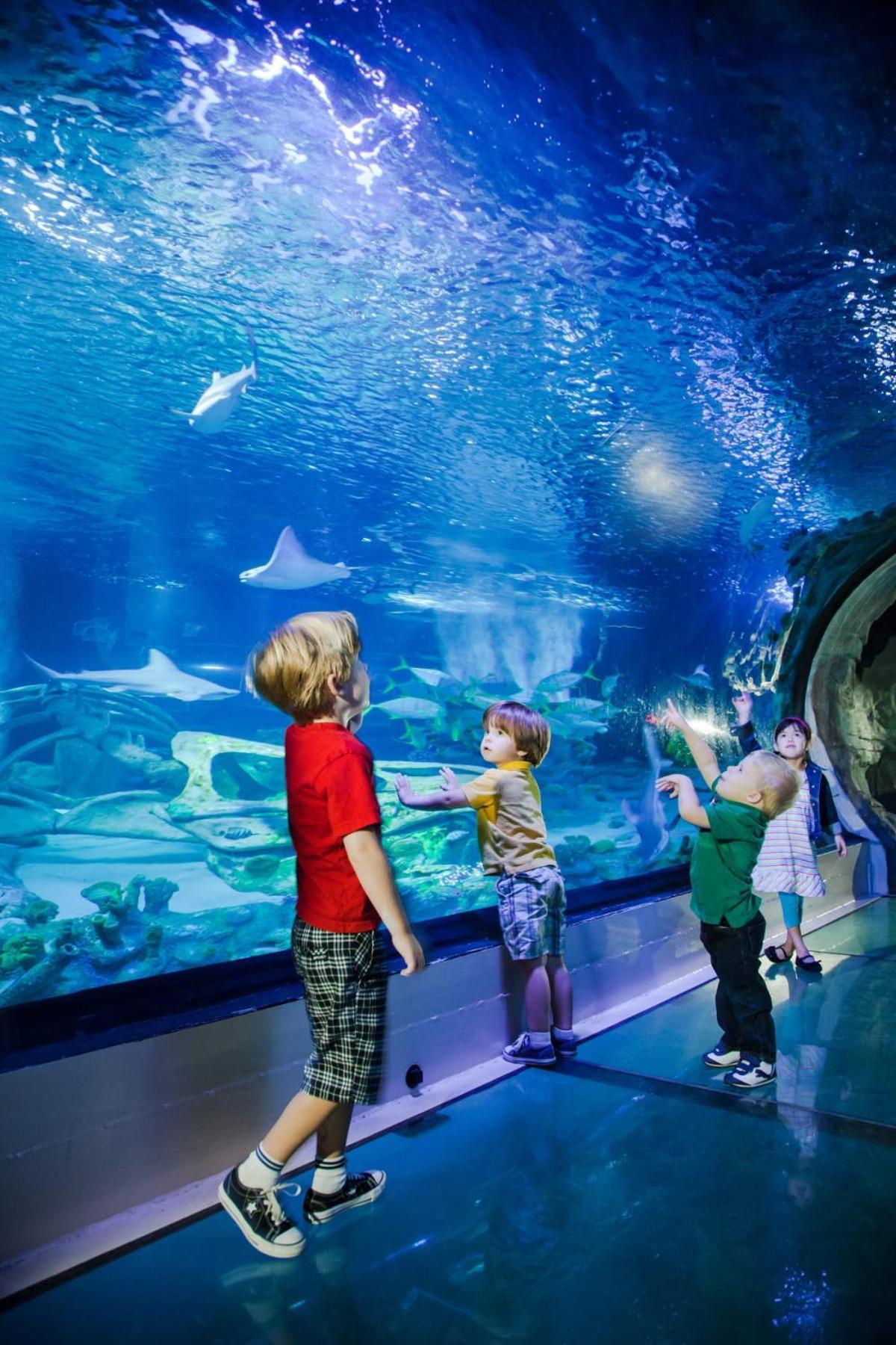 Home Disney Torcy 외부 사진